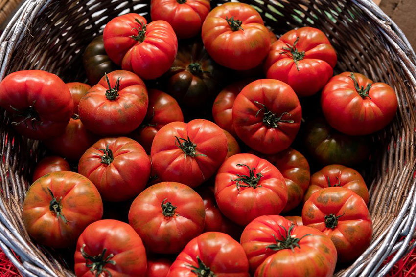 Los tomates, ya comienza el verano :) …